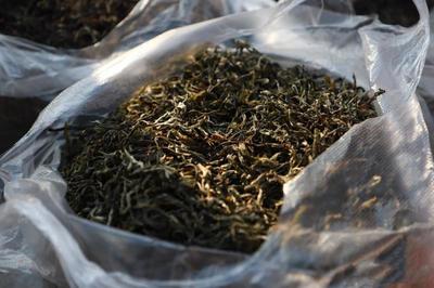 [普洱茶批发]云南临沧双江县普洱茶 500.00元/斤普洱茶 _ 一亩田